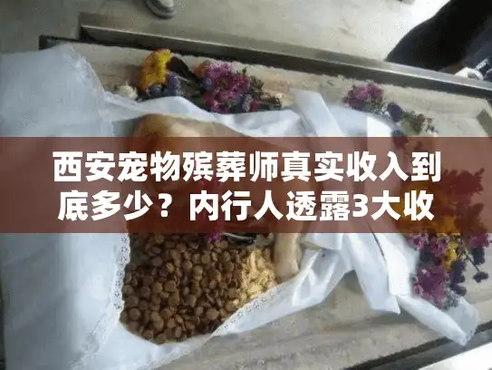 西安宠物殡葬师真实收入到底多少？内行人透露3大收入来源（附真实案例）