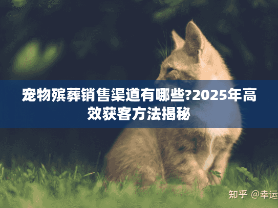 宠物殡葬销售渠道有哪些?2025年高效获客方法揭秘 宠物殡葬销售渠道有哪些?2025年高效获客方法揭秘