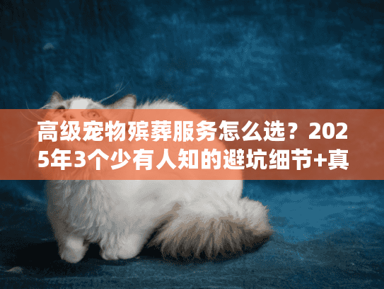高级宠物殡葬服务怎么选？2025年3个少有人知的避坑细节+真实案例解析