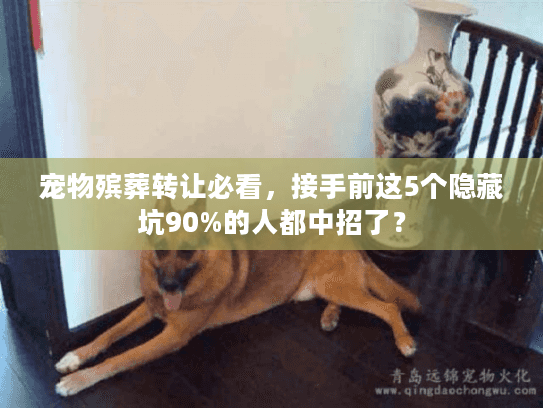 宠物殡葬转让必看，接手前这5个隐藏坑90%的人都中招了？