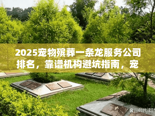 2025宠物殡葬一条龙服务公司排名，靠谱机构避坑指南，宠物主人必看！