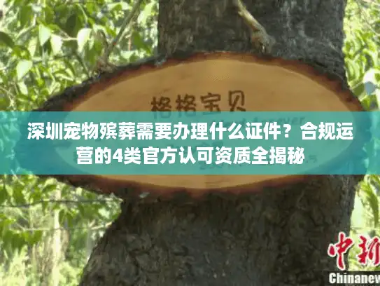 深圳宠物殡葬需要办理什么证件？合规运营的4类官方认可资质全揭秘