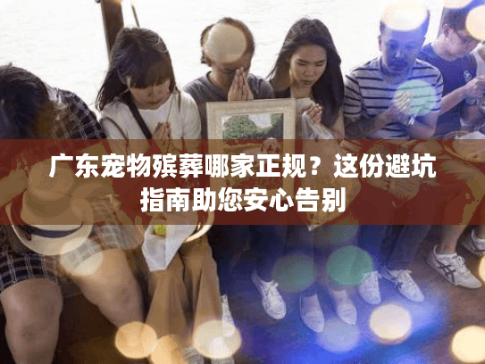 广东宠物殡葬哪家正规？这份避坑指南助您安心告别