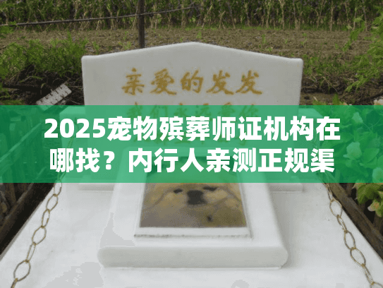 2025宠物殡葬师证机构在哪找？内行人亲测正规渠道+避坑技巧