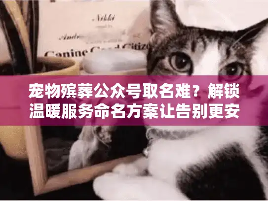 宠物殡葬公众号取名难？解锁温暖服务命名方案让告别更安心