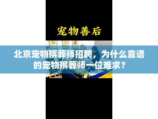 北京宠物殡葬师招聘，为什么靠谱的宠物殡葬师一位难求？