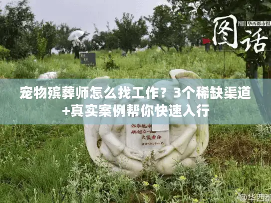 宠物殡葬师怎么找工作？3个稀缺渠道+真实案例帮你快速入行