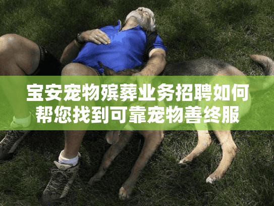 宝安宠物殡葬业务招聘如何帮您找到可靠宠物善终服务？