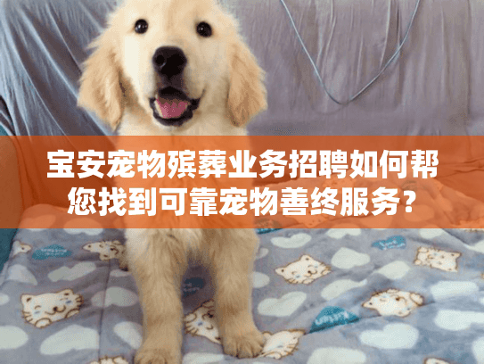 宝安宠物殡葬业务招聘如何帮您找到可靠宠物善终服务？
