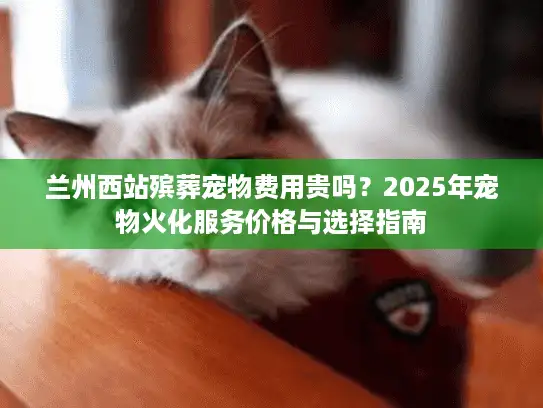 兰州西站殡葬宠物费用贵吗？2025年宠物火化服务价格与选择指南