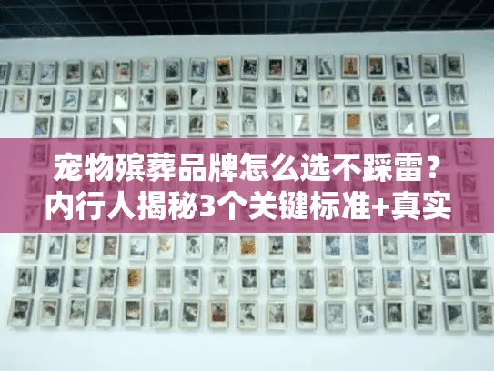 宠物殡葬品牌怎么选不踩雷？内行人揭秘3个关键标准+真实案例