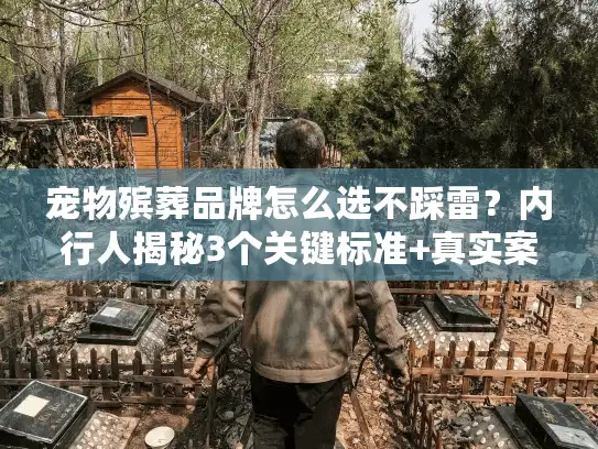宠物殡葬品牌怎么选不踩雷？内行人揭秘3个关键标准+真实案例