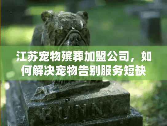 江苏宠物殡葬加盟公司，如何解决宠物告别服务短缺问题?