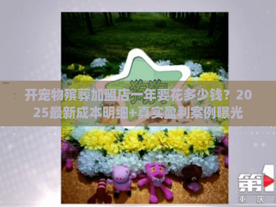 开宠物殡葬加盟店一年要花多少钱？2025最新成本明细+真实盈利案例曝光