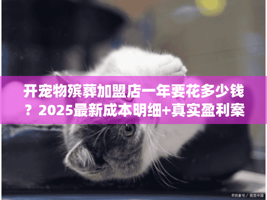 开宠物殡葬加盟店一年要花多少钱？2025最新成本明细+真实盈利案例曝光