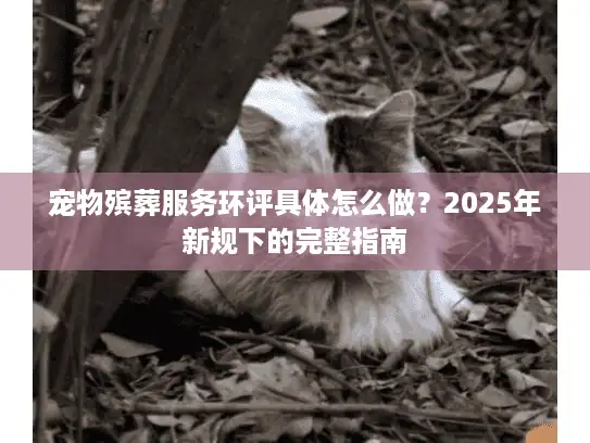 宠物殡葬服务环评具体怎么做?2025年新规下的完整指南 宠物殡葬服务环评具体怎么做?2025年新规下的完整指南