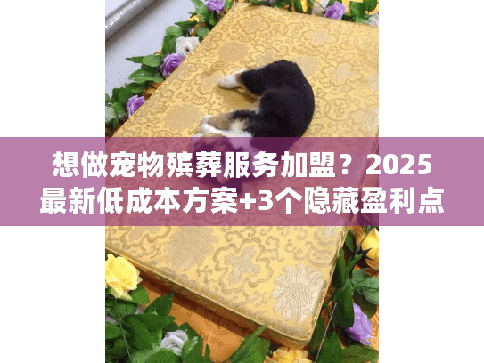 想做宠物殡葬服务加盟？2025最新低成本方案+3个隐藏盈利点必看！