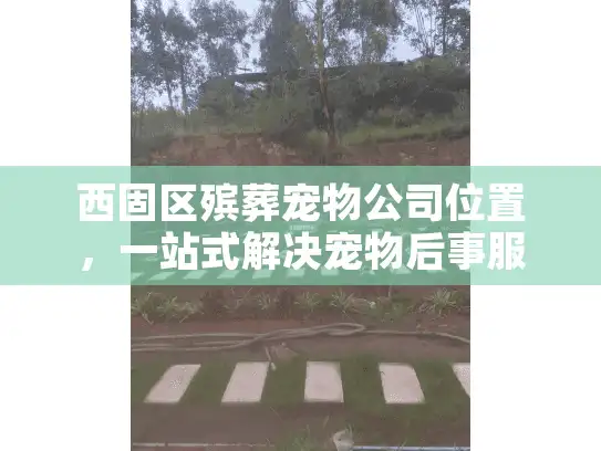 西固区殡葬宠物公司位置，一站式解决宠物后事服务难题