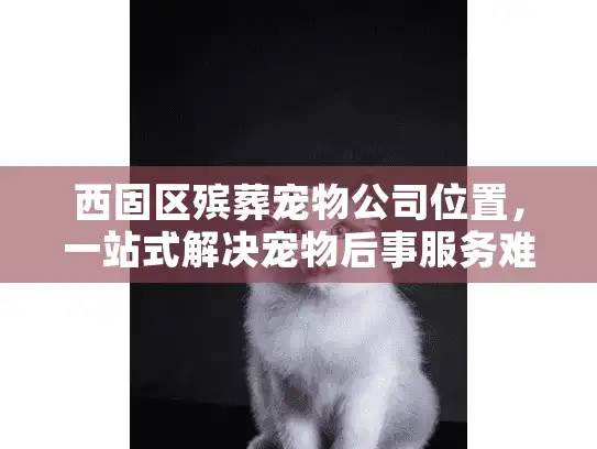 西固区殡葬宠物公司位置，一站式解决宠物后事服务难题