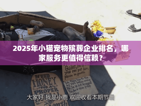 2025年小猫宠物殡葬企业排名，哪家服务更值得信赖？