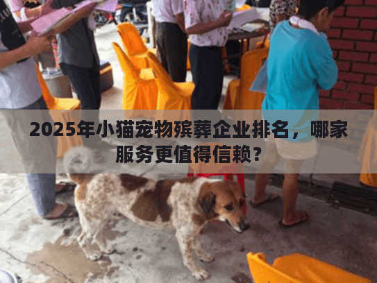 2025年小猫宠物殡葬企业排名，哪家服务更值得信赖？