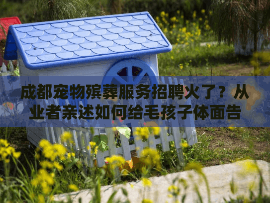 成都宠物殡葬服务招聘火了？从业者亲述如何给毛孩子体面告别