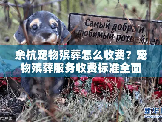 余杭宠物殡葬怎么收费？宠物殡葬服务收费标准全面解答
