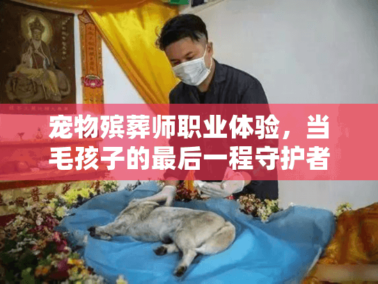 宠物殡葬师职业体验，当毛孩子的最后一程守护者，他们藏着多少不为人知的故事？