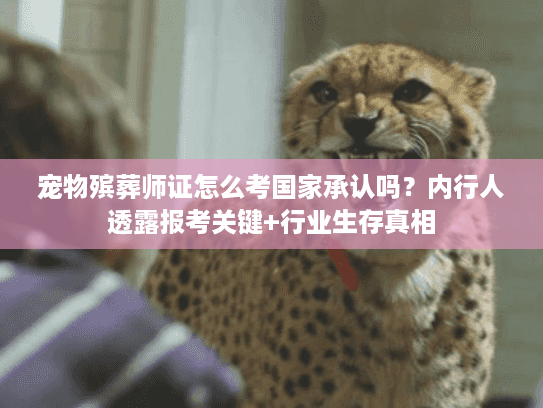 宠物殡葬师证怎么考国家承认吗？内行人透露报考关键+行业生存真相
