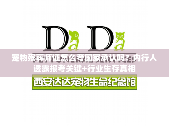 宠物殡葬师证怎么考国家承认吗？内行人透露报考关键+行业生存真相