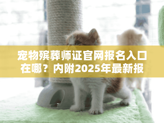 宠物殡葬师证官网报名入口在哪？内附2025年最新报考条件与行业内幕