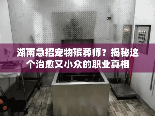 湖南急招宠物殡葬师？揭秘这个治愈又小众的职业真相