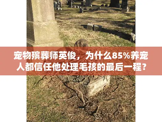 宠物殡葬师英俊，为什么85%养宠人都信任他处理毛孩的最后一程？