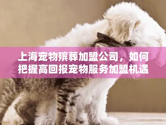 上海宠物殡葬加盟公司,如何把握高回报宠物服务加盟机遇? 上海宠物殡葬加盟公司,如何把握高回报宠物服务加盟机遇?