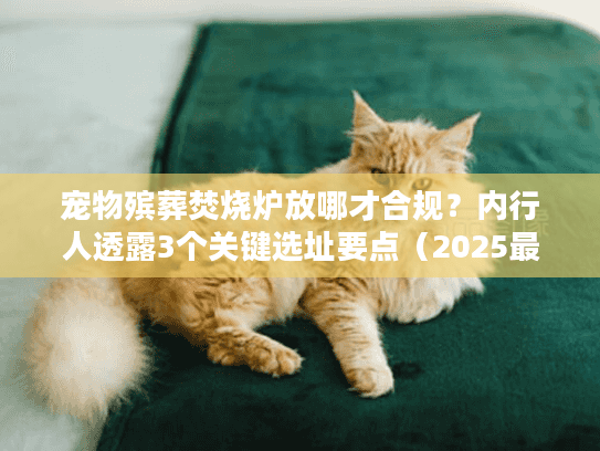 宠物殡葬焚烧炉放哪才合规？内行人透露3个关键选址要点（2025最新）