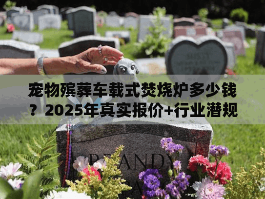 宠物殡葬车载式焚烧炉多少钱？2025年真实报价+行业潜规则曝光