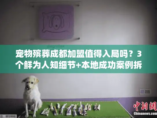 宠物殡葬成都加盟值得入局吗？3个鲜为人知细节+本地成功案例拆解