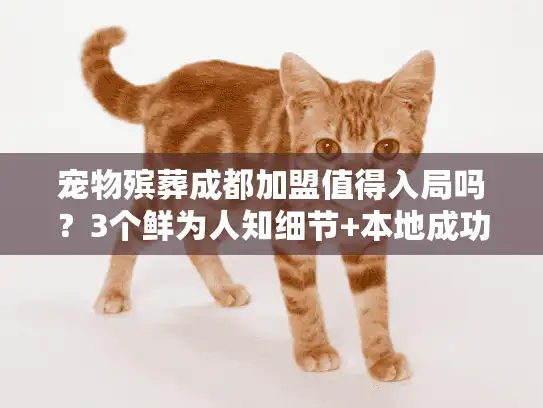 宠物殡葬成都加盟值得入局吗？3个鲜为人知细节+本地成功案例拆解