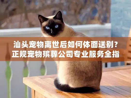 汕头宠物离世后如何体面送别？正规宠物殡葬公司专业服务全指南