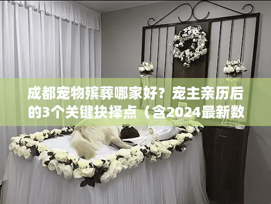 成都宠物殡葬哪家好？宠主亲历后的3个关键抉择点（含2024最新数据）