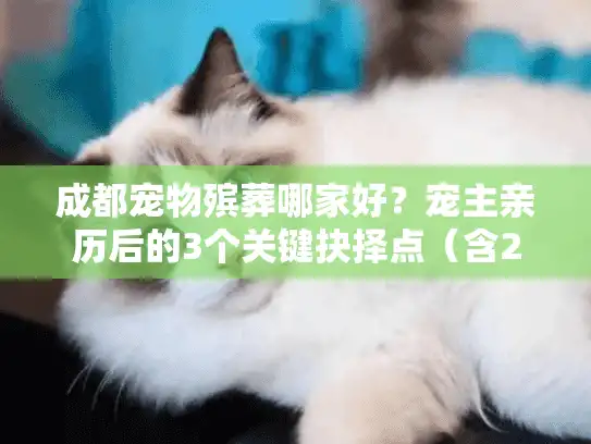 成都宠物殡葬哪家好？宠主亲历后的3个关键抉择点（含2024最新数据）