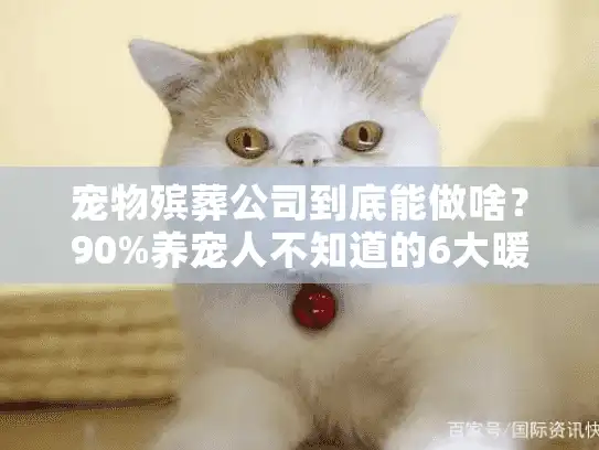 宠物殡葬公司到底能做啥？90%养宠人不知道的6大暖心项目全揭秘