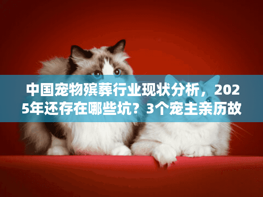中国宠物殡葬行业现状分析，2025年还存在哪些坑？3个宠主亲历故事揭露行业内幕