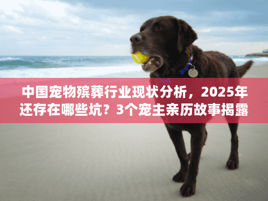 中国宠物殡葬行业现状分析，2025年还存在哪些坑？3个宠主亲历故事揭露行业内幕