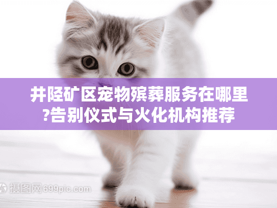 井陉矿区宠物殡葬服务在哪里?告别仪式与火化机构推荐