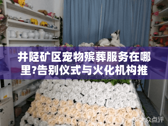井陉矿区宠物殡葬服务在哪里?告别仪式与火化机构推荐
