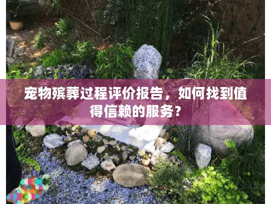 宠物殡葬过程评价报告，如何找到值得信赖的服务？