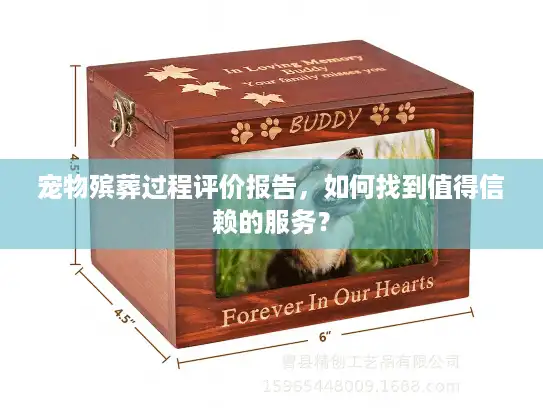 宠物殡葬过程评价报告，如何找到值得信赖的服务？