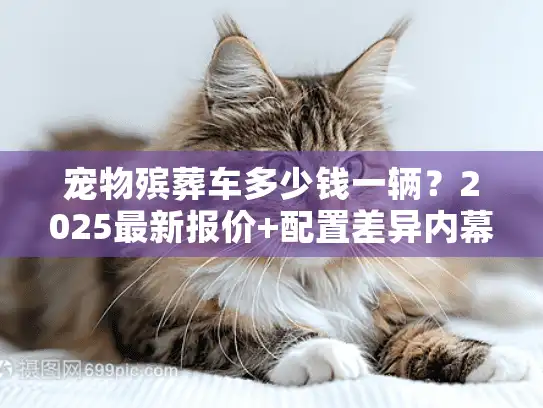 宠物殡葬车多少钱一辆?2025最新报价+配置差异内幕全揭秘 宠物殡葬车多少钱一辆?2025最新报价+配置差异内幕全揭秘