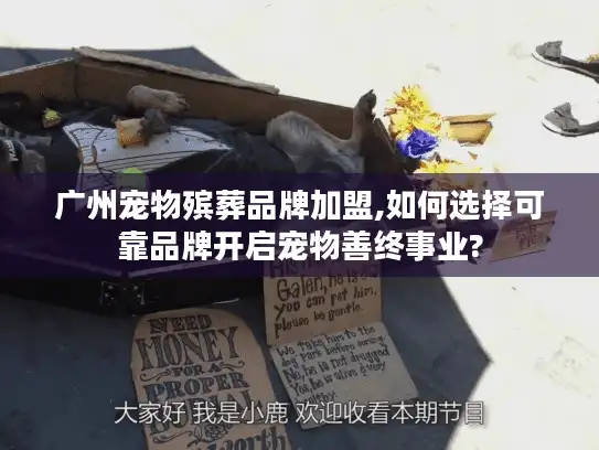 广州宠物殡葬品牌加盟,如何选择可靠品牌开启宠物善终事业? 广州宠物殡葬品牌加盟,如何选择可靠品牌开启宠物善终事业?